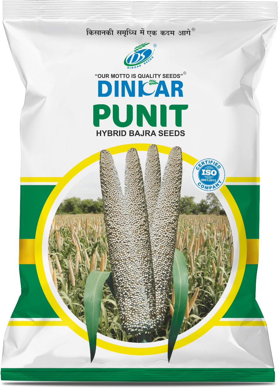 BAJARA PUNIT 