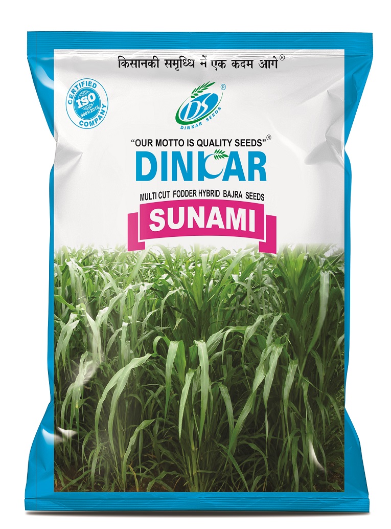 FODDER HY SUNAMI 