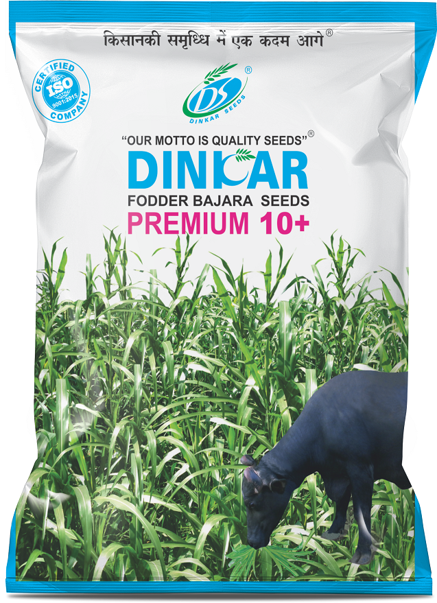 FODDER BAJRA PREMIUM 10+