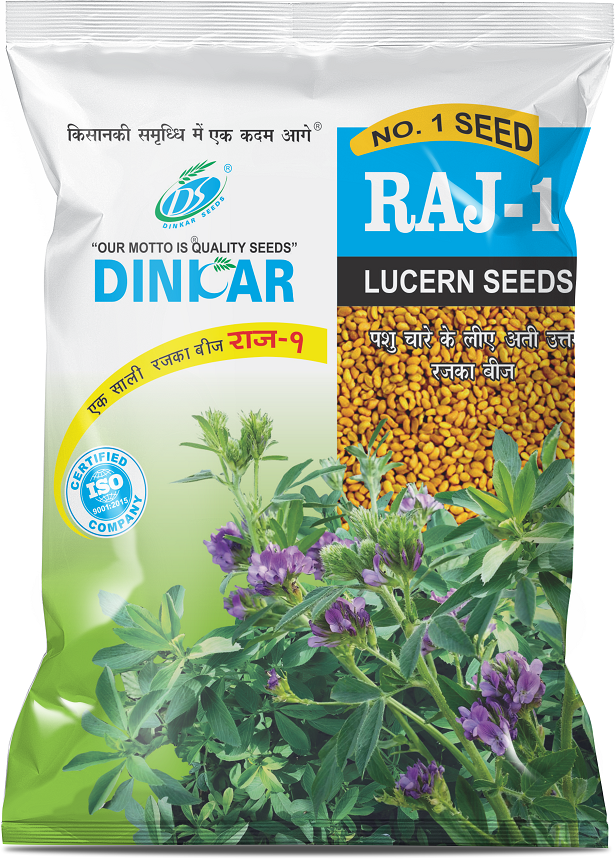 LUCERNE RAJ 1 