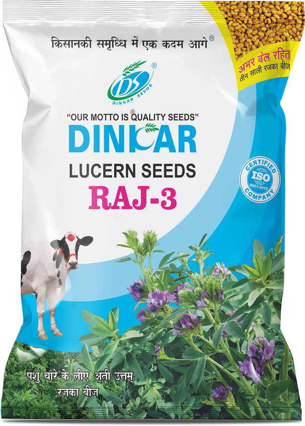 LUCERNE RAJ 3