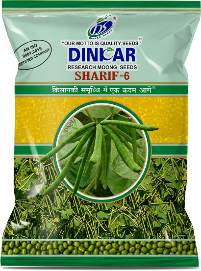 GREEN GRAM SHARIF 6 