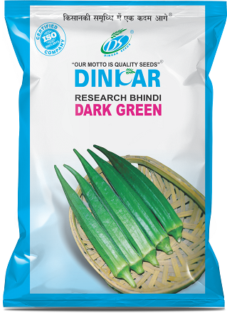 OKRA DARK GREEN