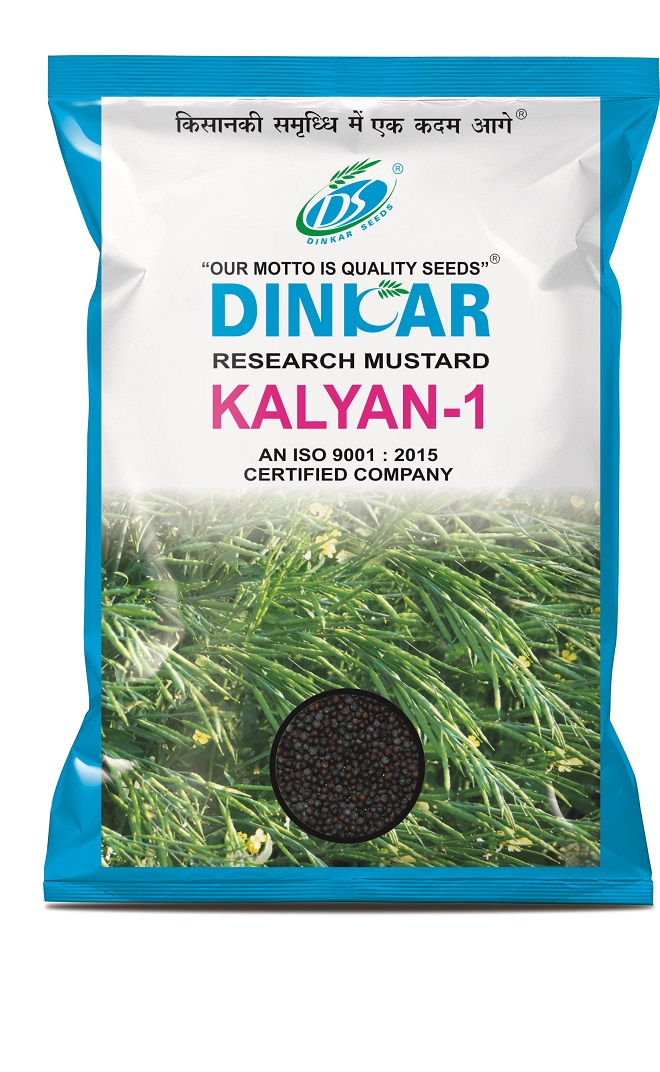 MUSTARD KALYAN 1 