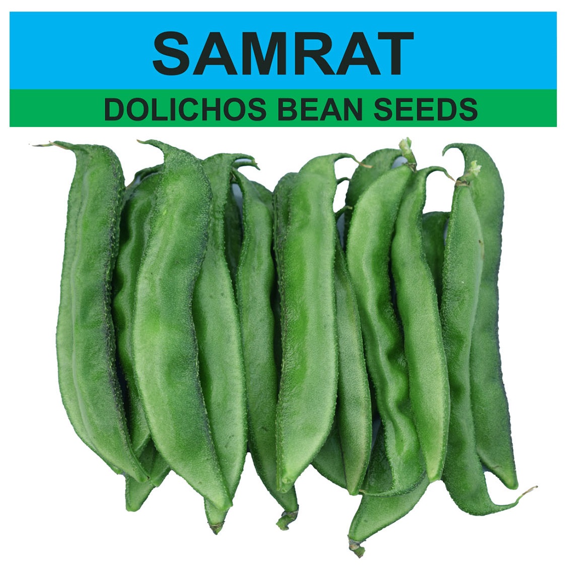 SAMRAT