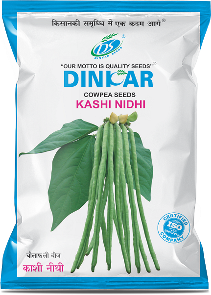 COWPEA KASHINIDHI 
