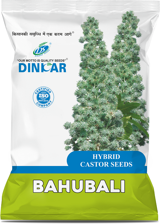 CASTOR BAHUBALI
