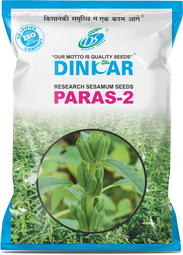 SESAME PARAS 2 
