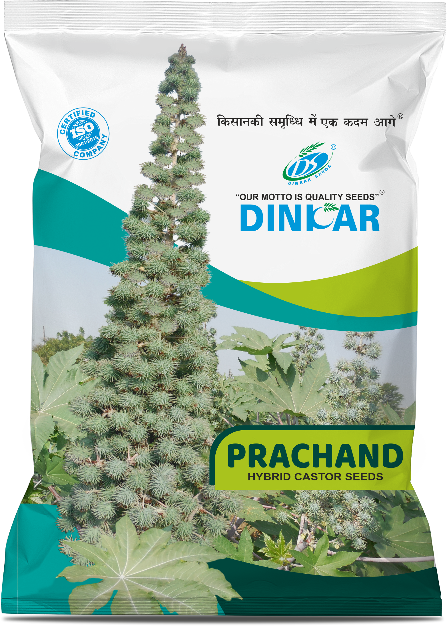 CASTOR PRACHAND