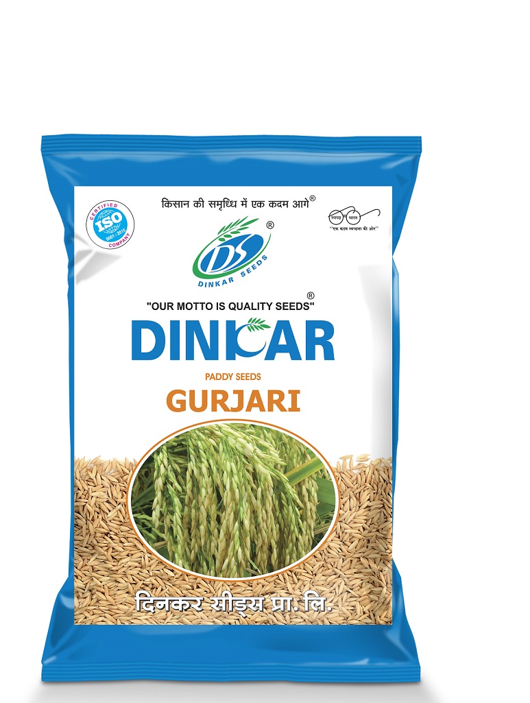 PADDY GURJARI 